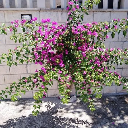 In With Terrace, Air Conditioning, Wi-fi 4440-2 شقة