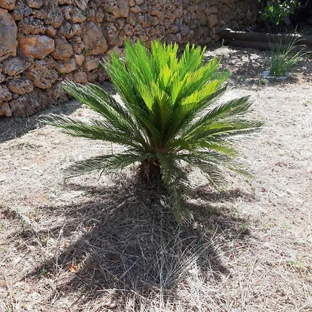 Apartment In With Terrace, Air Conditioning, Wi-fi 4440-2 Jelsa (Hvar)