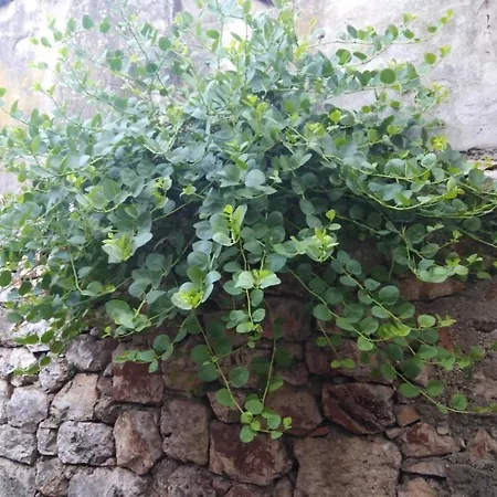 In With Terrace, Air Conditioning, Wi-fi 4440-2 شقة ييلسا