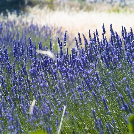 In With Terrace, Air Conditioning, Wi-fi 4440-2 شقة *