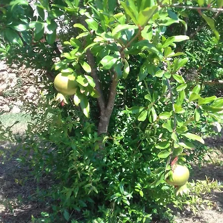 شقة In With Terrace, Air Conditioning, Wi-fi 4440-2 ييلسا