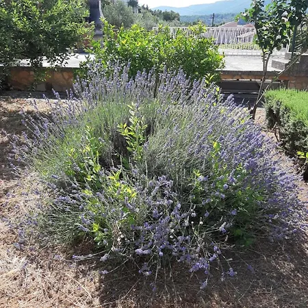 In With Terrace, Air Conditioning, Wi-fi 4440-2 * Jelsa (Hvar)